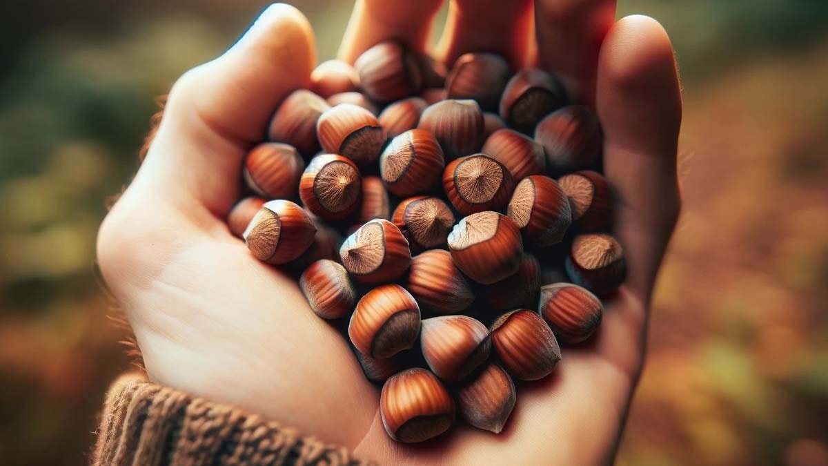 Çay ve Demir: Sağlıklı Bir Kombinasyon İçin Dikkat Edilmesi Gerekenler
