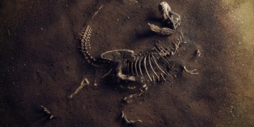 dinozorlarin-sonu-curuyen-teoriler-ve-gizemli-yok-olus-76bClams.jpg