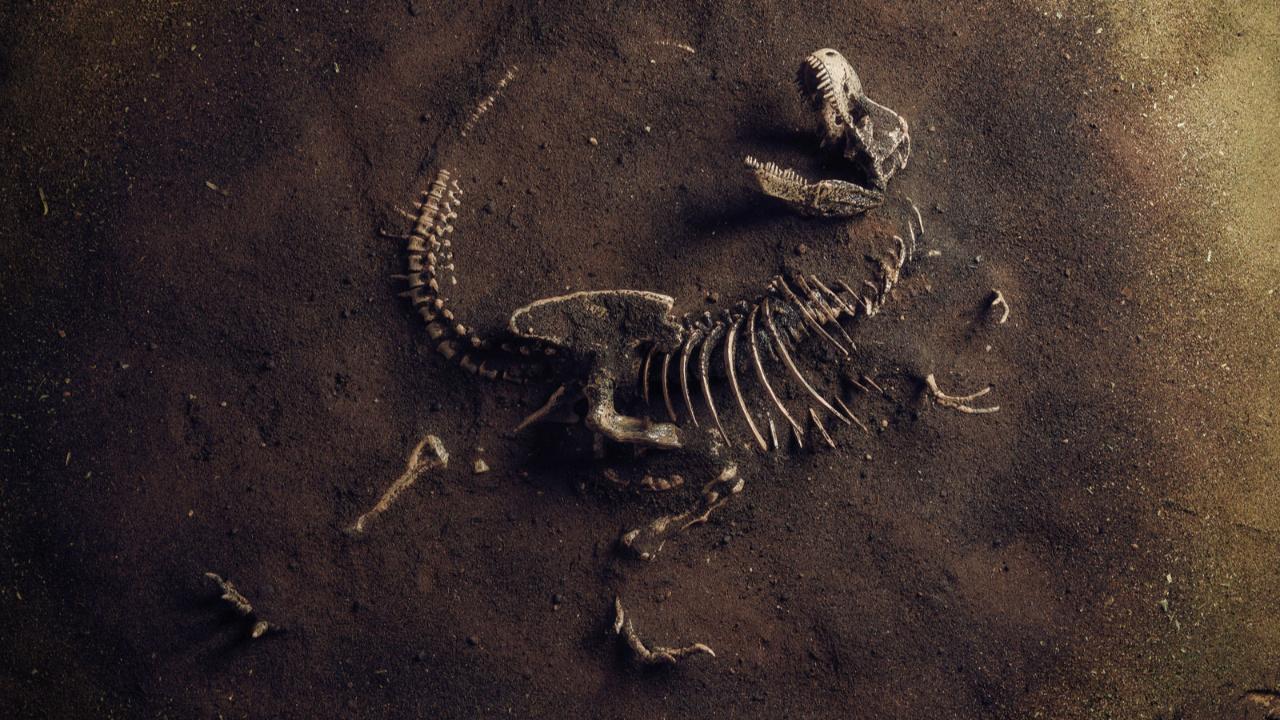 dinozorlarin-sonu-curuyen-teoriler-ve-gizemli-yok-olus-76bClams.jpg