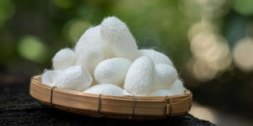 ipekle-sarili-ilaclar-bilim-insanlarinin-hastalara-sunmayi-hedefledigi-yenilikci-cozum-pO1SX6dI.jpg
