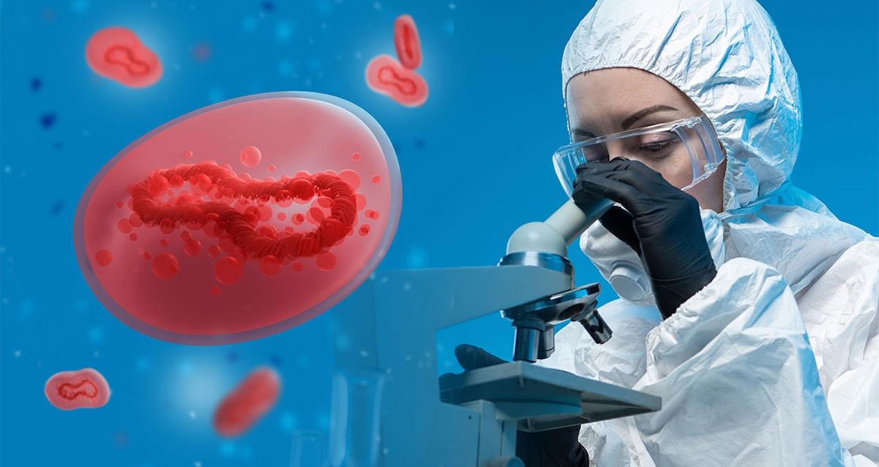 kayip-virus-krizi-ulke-ayaga-kalkti-323-ornek-nerede-rOfbcesq.jpg