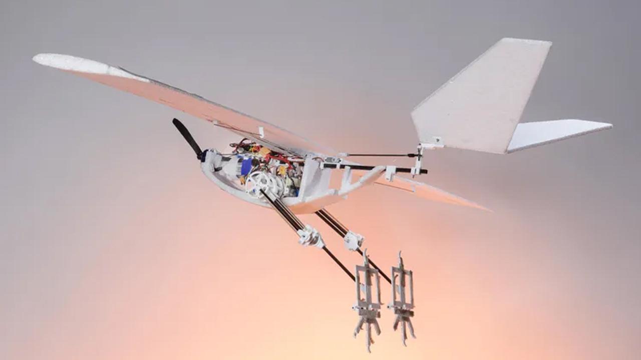 kus-bacakli-dron-bilim-insanlarinin-havada-dans-eden-yeniligi-nHXOZvmS.jpg