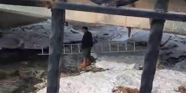 minik-kahramanlar-is-basinda-babalari-donmak-uzere-olan-kopegi-kurtardi-cocuklar-moral-verip-tezahurat-yapti-JRLLKggD.jpg