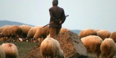 5-bin-yil-sonra-gun-yuzune-cikti-cobanin-sok-edici-olayi-DxZwBVtk.jpg