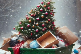 belcikadan-sasirtan-uyari-eski-noel-agacinizi-yemekten-kacinin-9APqOwBF.jpg