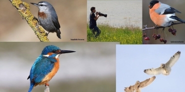 doganin-gizemli-kanatlari-kuzey-cem-kulacoglu-ile-kus-gozlemciliginde-derinlemesine-bir-yolculuk-2AuHYsT5.jpg