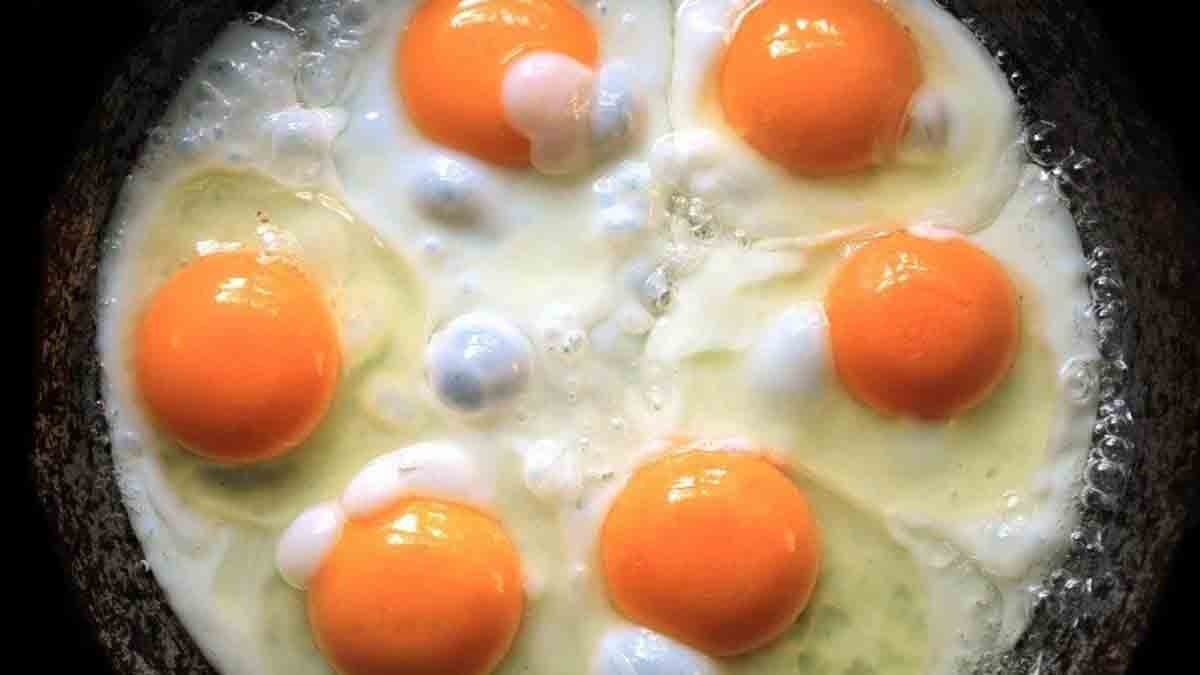 Göz Sağlığı Üzerindeki Pozitif Etkileri