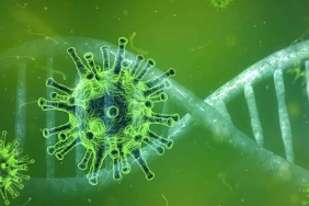 korkutucu-virus-mutasyonu-bilim-dunyasi-acil-uyarida-bulundu-vNQ9sDMO.jpg