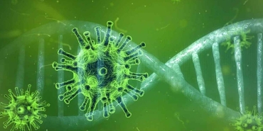 korkutucu-virus-mutasyonu-bilim-dunyasi-acil-uyarida-bulundu-vNQ9sDMO.jpg