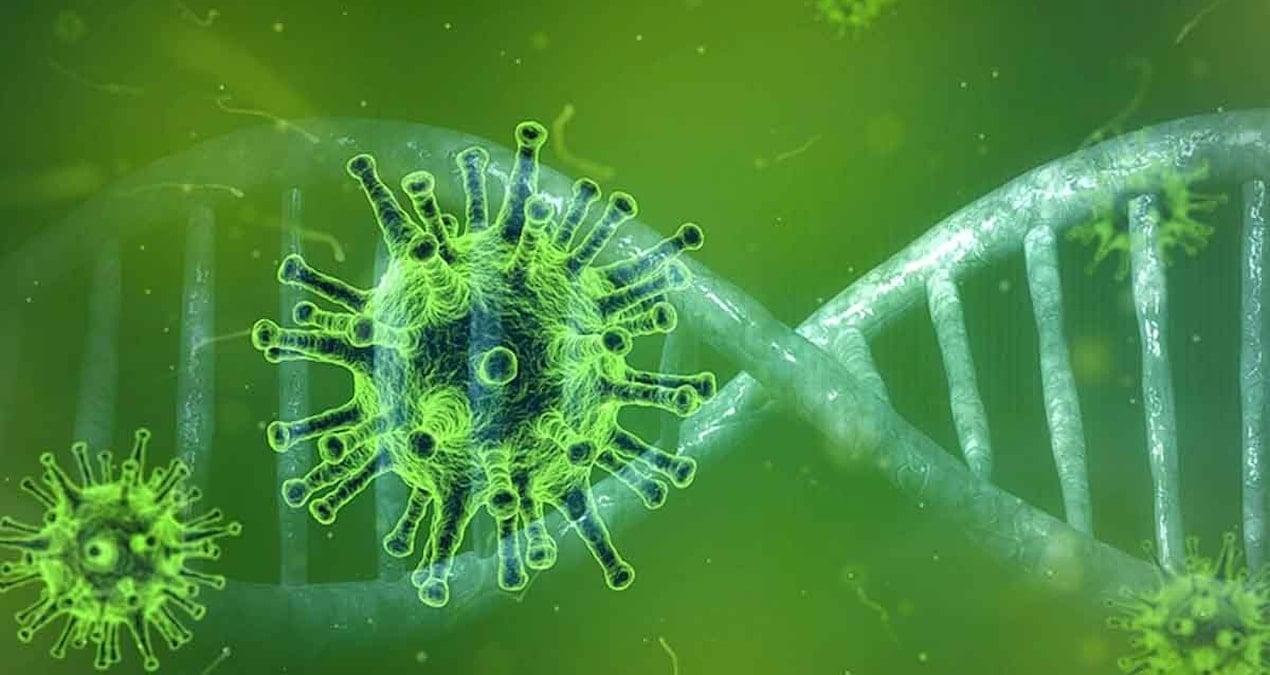 korkutucu-virus-mutasyonu-bilim-dunyasi-acil-uyarida-bulundu-vNQ9sDMO.jpg