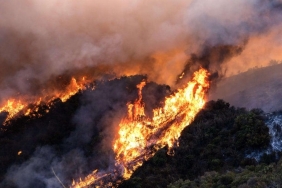 los-angeles-yanginlariyla-ilgili-sok-edici-iddia-LPhbGaCB.jpg