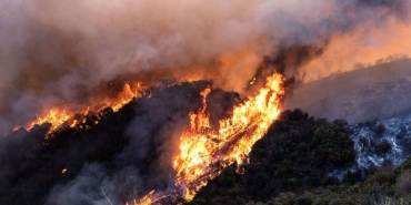 los-angeles-yanginlariyla-ilgili-sok-edici-iddia-LPhbGaCB.jpg