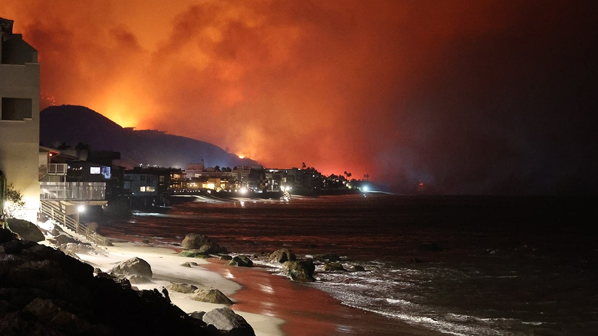 Los Angeles'taki Orman Yangınları ve Yağma Olayları