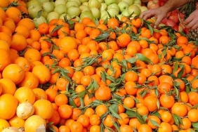 mandalina-ve-portakal-hangisi-sagliginiza-daha-fazla-katkida-bulunuyor-G7JFAypn.jpg