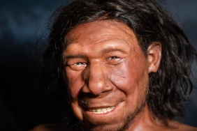 otobuste-cikan-tartismada-kendisini-neandertale-benzeten-yolcu-icin-konusan-sofor-o-kadar-da-eski-degilim-4zI6J2pk.jpg