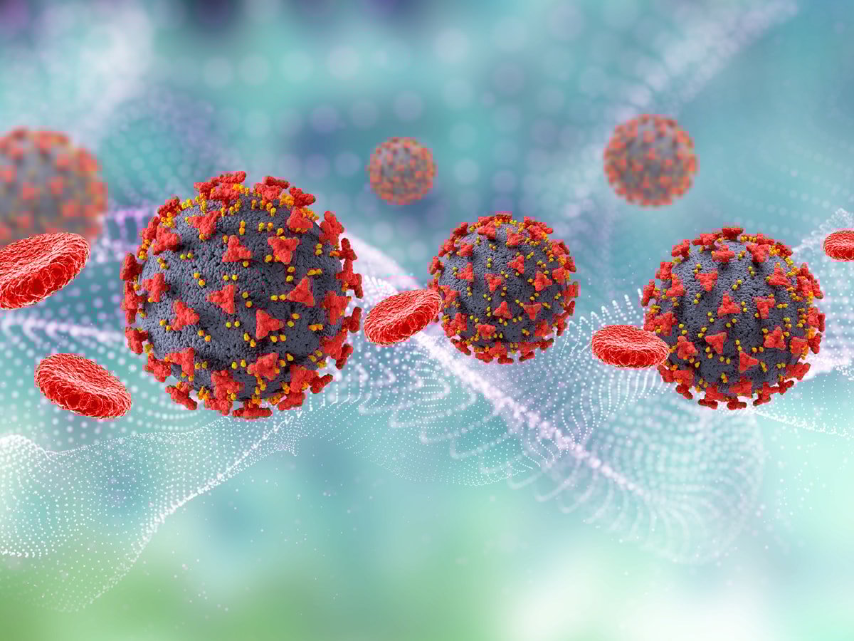H5N1 Virüsü ve D.1.1 Varyantı Üzerine Endişeler