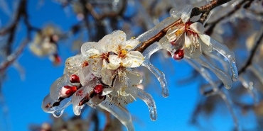 chpli-sumer-don-olayi-nedeniyle-magdur-olan-ciftciler-icin-acil-onlemler-alinmali-FUaMSbyd.jpg