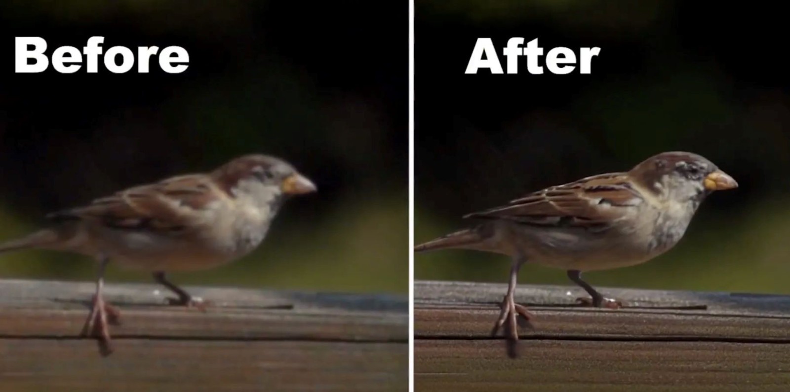 Topaz Labs'dan Devrim Niteliğinde Video Restorasyonu!