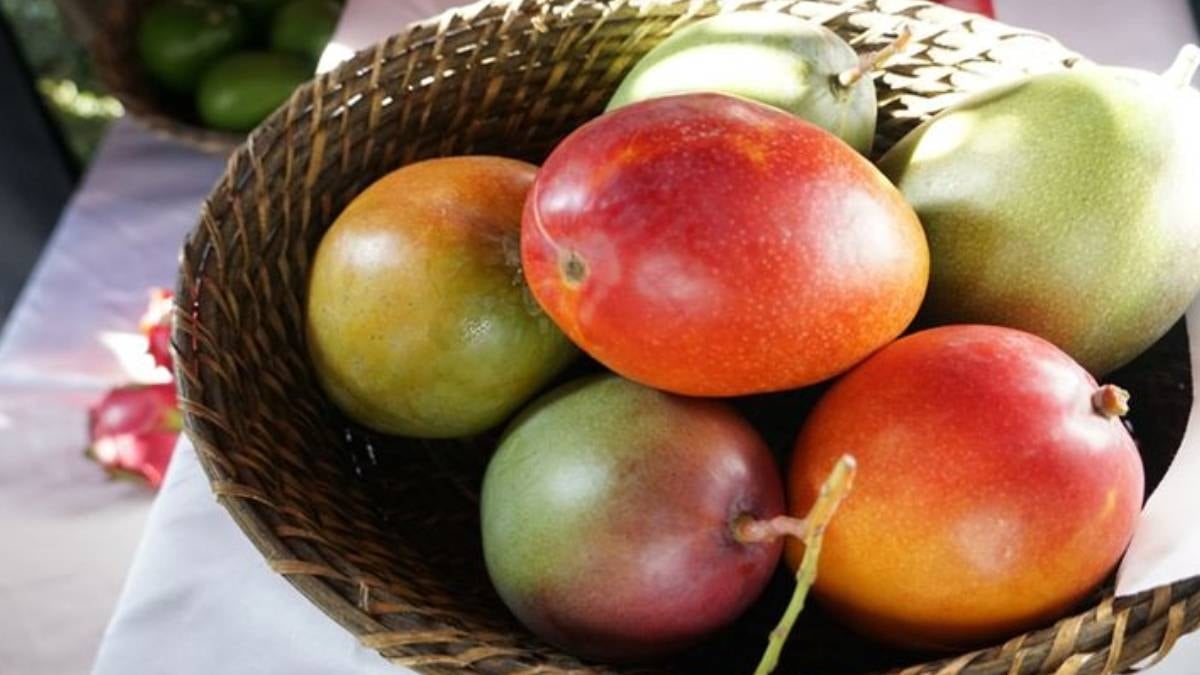 Güney Kore'de Mango Tüketimi: Nedenleri ve Alternatifleri