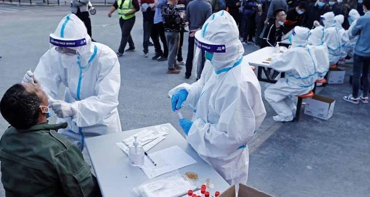 kus-ve-yarasa-disinda-bilim-insanlarina-gore-bir-sonraki-salginin-kaynagi-bu-hayvan-uBYNgzFO.jpg