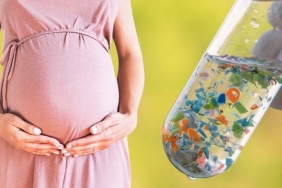 plastik-kirliligi-anne-karnindaki-bebekler-uzerindeki-sok-etkisi-if8Iauyi.jpg