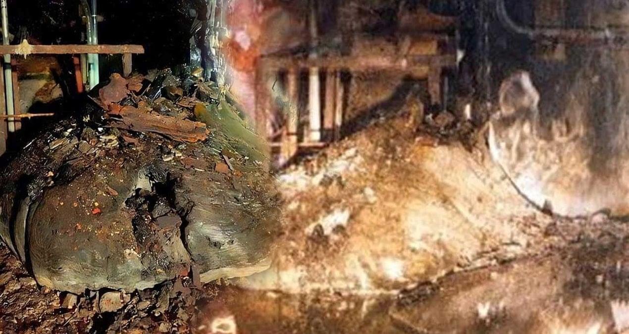 sadece-5-dakika-uzaklikta-olmanizin-tehlikesi-dunyanin-en-olumcul-nesnesi-2qHLNfHH.jpg