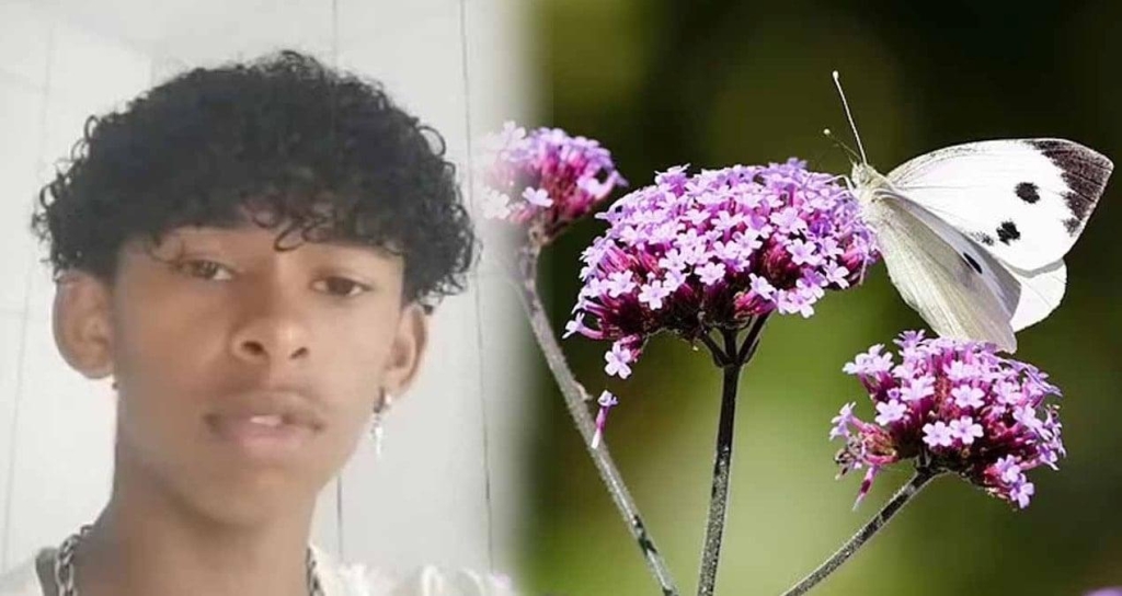 featured