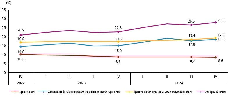2024 Yılı IV. Çeyrek Hanehalkı İşgücü Araştırması Sonuçları