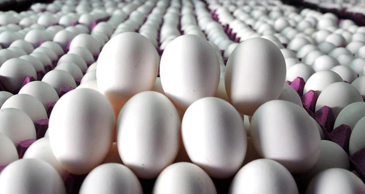 turkiyenin-abdye-15-bin-ton-yumurta-ihraci-ekonomik-kriz-derinlesiyor-qtUh9RZF.jpg