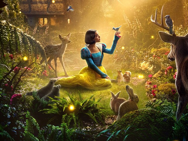 Ayı Paddington: Ormanda Macera