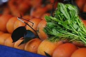 bu-sebze-portakalin-c-vitamininden-daha-fazla-iceriyor-gwjElO7e.jpg