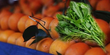 bu-sebze-portakalin-c-vitamininden-daha-fazla-iceriyor-gwjElO7e.jpg