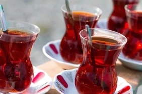 cay-sudaki-agir-metalleri-azaltma-potansiyeli-tasiyor-ancak-HZZRhg1U.jpg