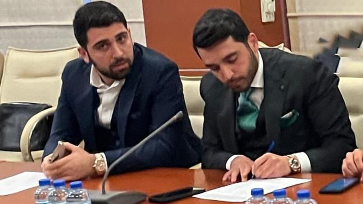 Ankara'nın Nallıhan İlçesindeki Çayırhan Termik Santrali İhalesi