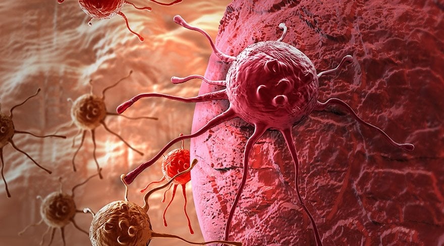Yaşlanma Sürecini Yavaşlatma Mekanizmaları