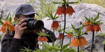 fotograf-sanatinin-yeni-incisi-gorese-dagindaki-aglayan-gelinler-ve-anlam-yuklu-hik-yeleri-cBNBC5UN.jpg