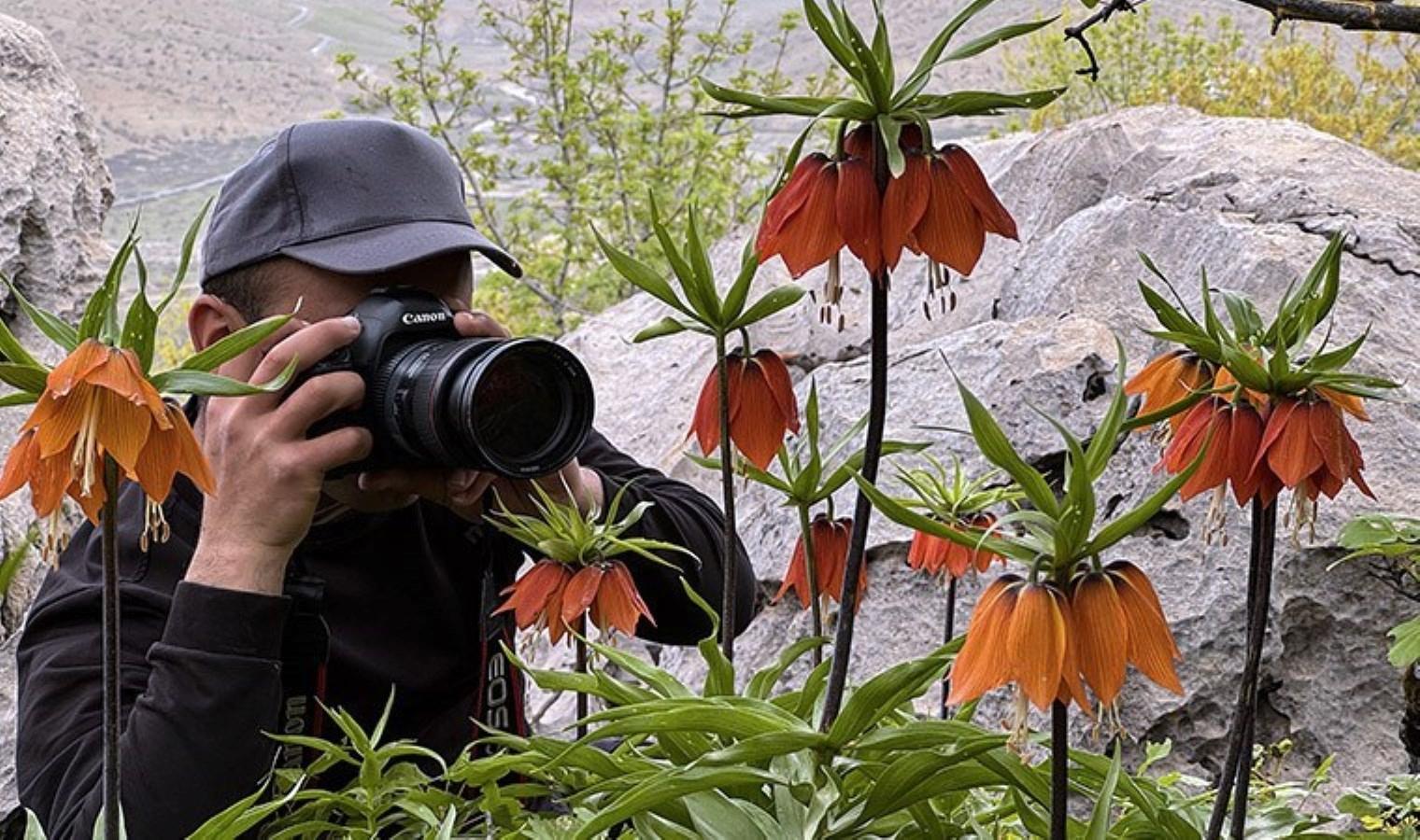 fotograf-sanatinin-yeni-incisi-gorese-dagindaki-aglayan-gelinler-ve-anlam-yuklu-hik-yeleri-cBNBC5UN.jpg