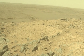 kizil-gezegende-yeni-bir-umut-mars-kolonizasyonu-icin-hayatta-kalabilen-yasam-formu-kesfedildi-l7tLGHUa.jpg