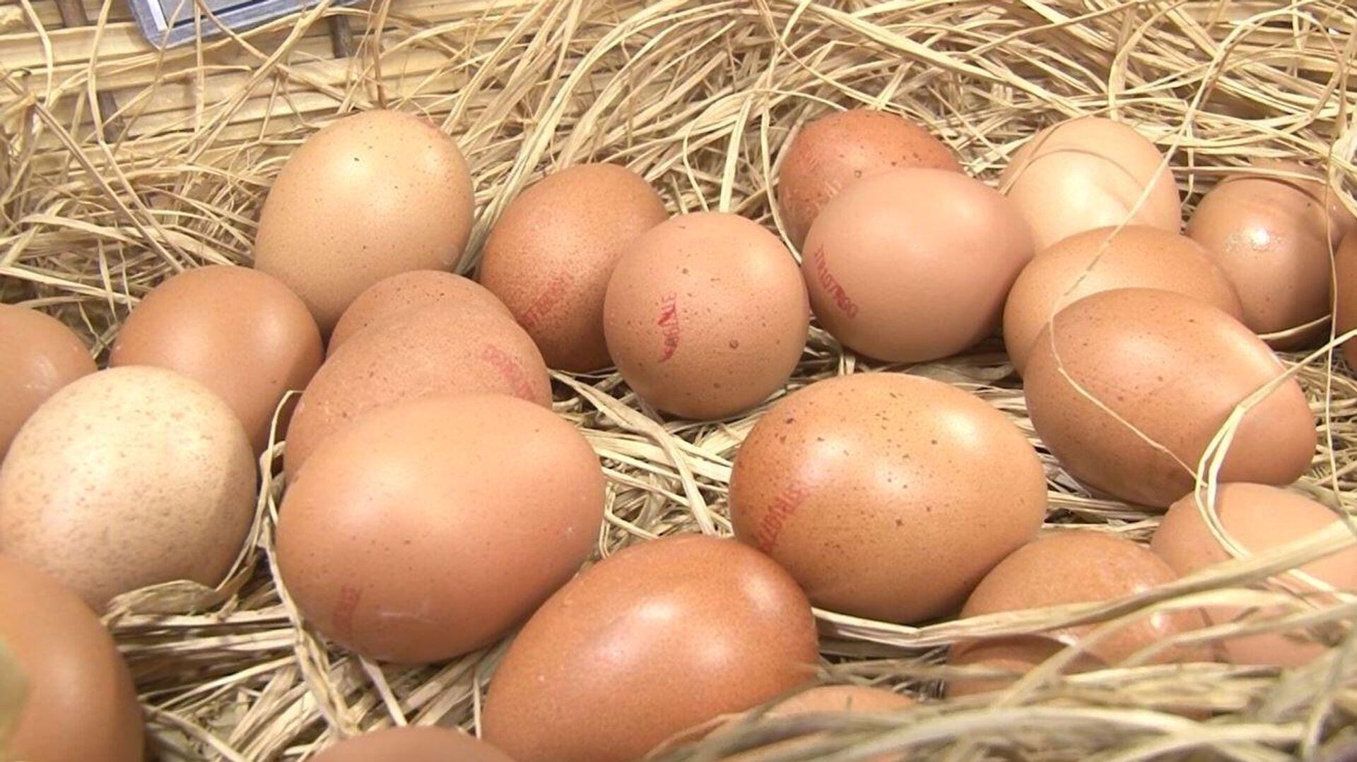 sofralik-yumurta-ihracatina-muafiyet-duzenlemesi-getirildi-I2ZGpjnv.jpg