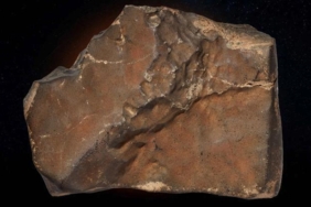 dunyanin-en-buyuk-mars-meteoru-rekor-fiyata-satilma-sansi-ve-gizemi-UmvlejYw.jpg