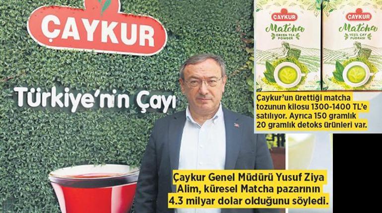 Türkiye’de de Matcha Üretimi ve Artan İlgi