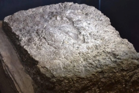 tarih-oncesine-dayanan-bir-iz-insanligin-ilk-adimlarina-dair-derin-bir-inceleme-BYYtkOAv.jpg