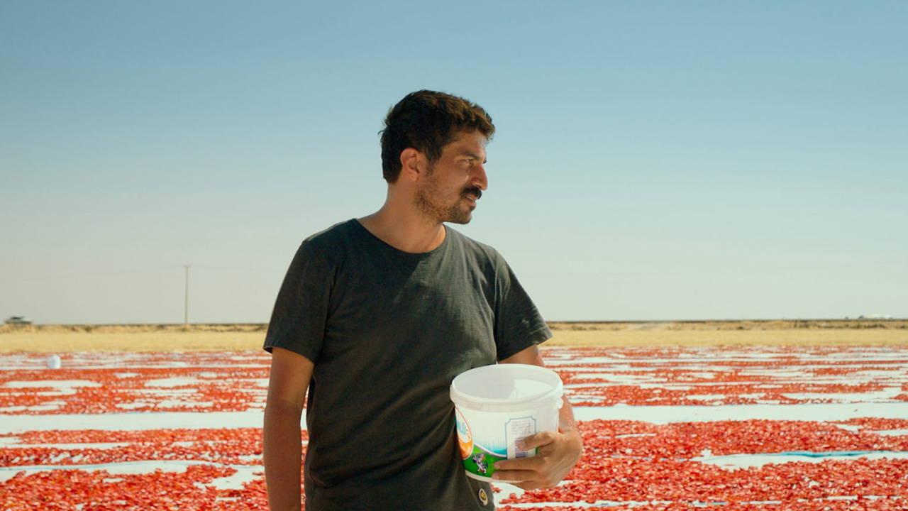 turkiyenin-uluslararasi-sinema-sahnesinde-yukselisi-oscar-adayliginin-derin-anlamlari-ve-sinema-sanatina-katkilari-csTDIZ6k.jpg