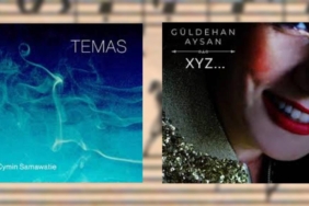 vitrindeki-albumler-26-temmuz-2025-tarihinde-sanat-ve-muzik-dunyasinin-izlerini-suren-bir-inceleme-rtzZXyhI.jpg