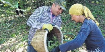 findikta-fiyat-belirleme-yetkisi-ureticiye-verildi-XNayyMTp.jpg