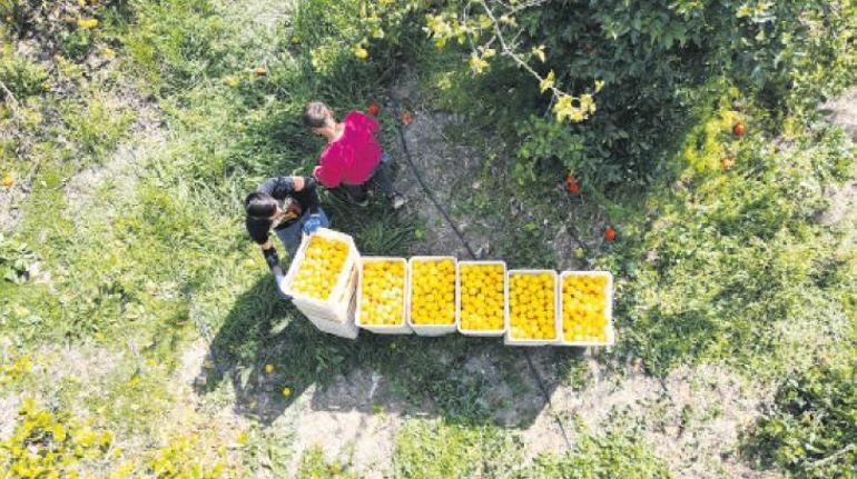 Genç Üretimde Adım Adım Hedefe Ulaşmanın Yolunu Keşfet