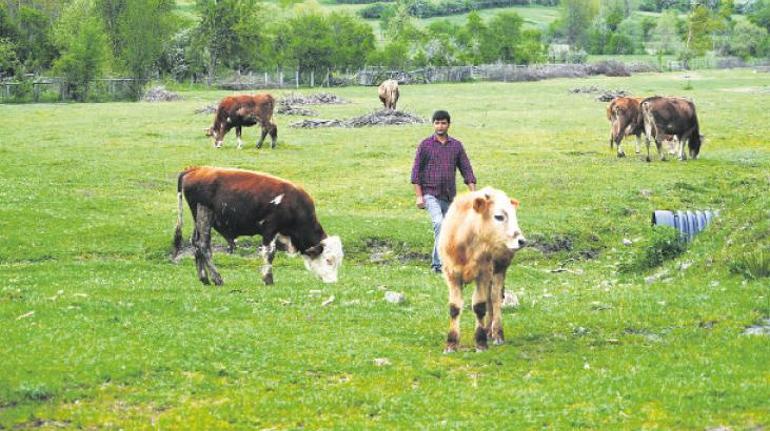 Genç Üretimde Adım Adım Hedefe Ulaşmanın Yolunu Keşfet