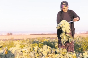 genc-uretimde-adim-adim-hedefe-ulasmanin-yolunu-kesfet-BaREh1FW.jpg
