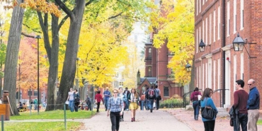 harvard-116-milyon-dolarlik-bitcoin-aldi-turkiyede-yuzlerce-yorum-ve-piyasa-yankilari-5FfG9i3h.jpg