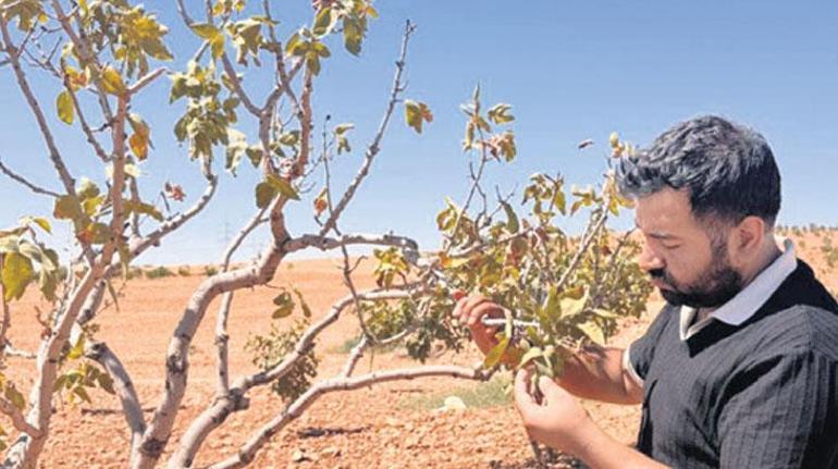 Kuraklık Felaketi İçin Çiftçiye Destek Şartı: Hayat Kurtaran Önlemler ve Kaynaklar